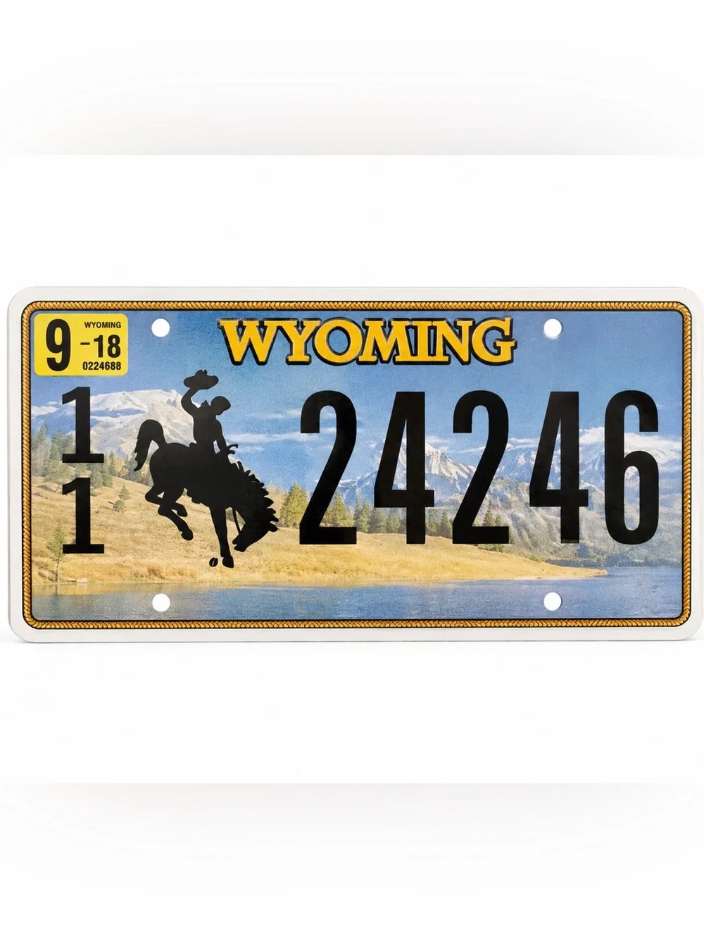 Wyoming License Plate